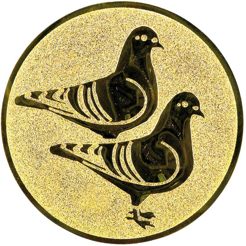 orginal_af174.01.jpg